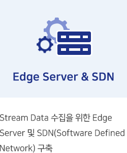 Edge Server & SDN